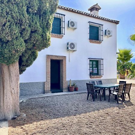 Encantador Cortijo La Emiliana A 5 Minutos Del Centro Churriana de la Vega Ngoại thất bức ảnh