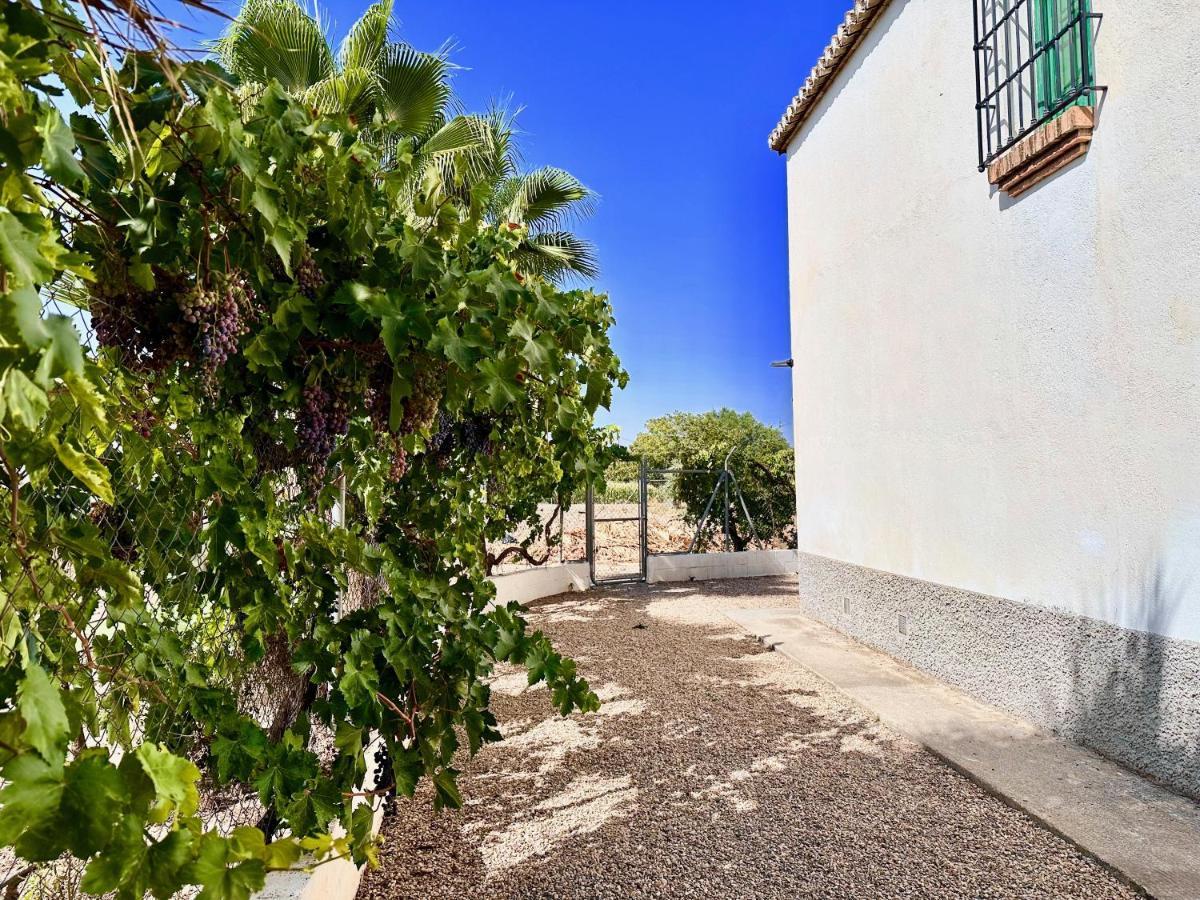Encantador Cortijo La Emiliana A 5 Minutos Del Centro Churriana de la Vega Ngoại thất bức ảnh